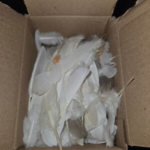 White Feathers Collection